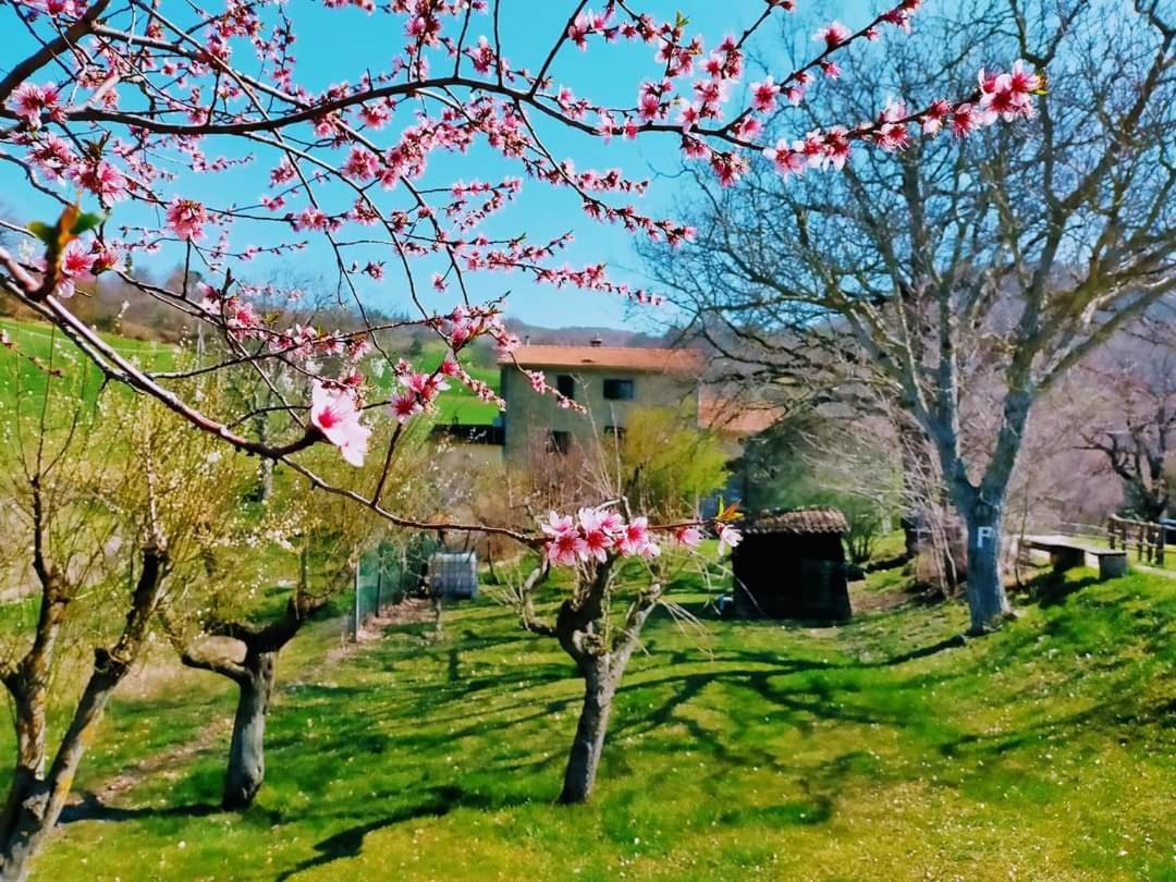 B&B Luna E Stelle Premilcuore Extérieur photo
