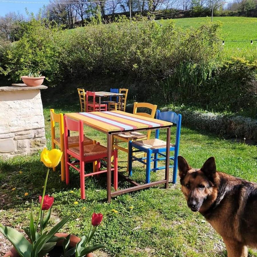 B&B Luna E Stelle Premilcuore Extérieur photo