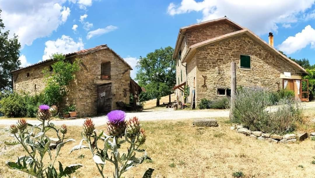 B&B Luna E Stelle Premilcuore Extérieur photo