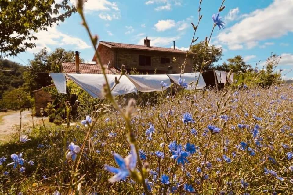 B&B Luna E Stelle Premilcuore Extérieur photo